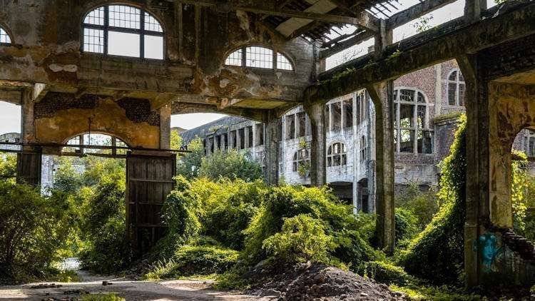 Timeless Luxe: Exploring Abandoned Houses Turned Hidden Gems in Luxury Travel