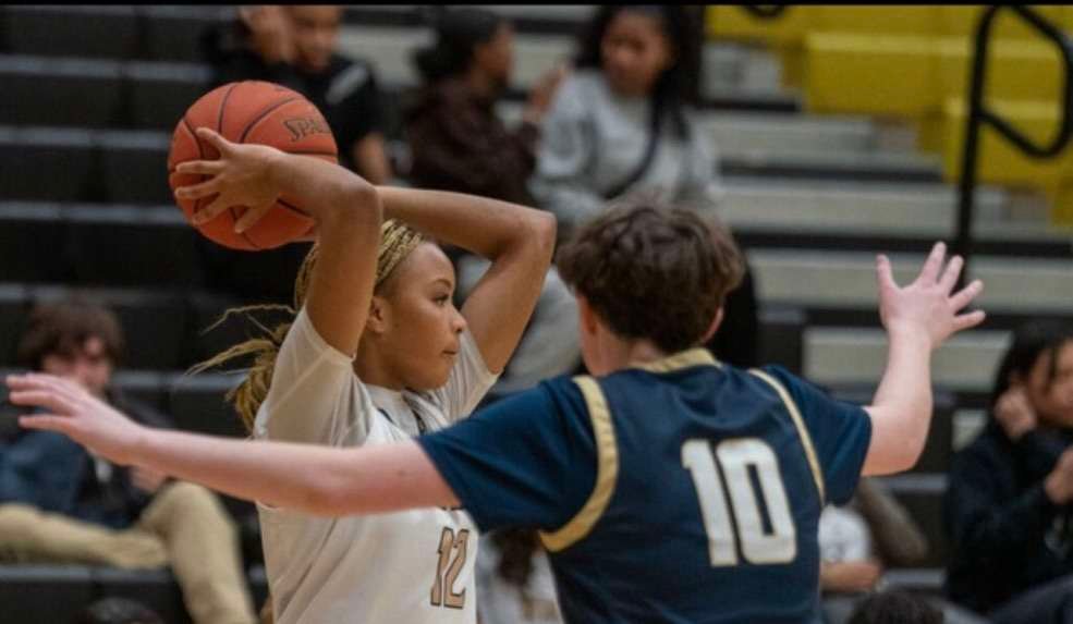 A Swift Ascent in Sophomore Year