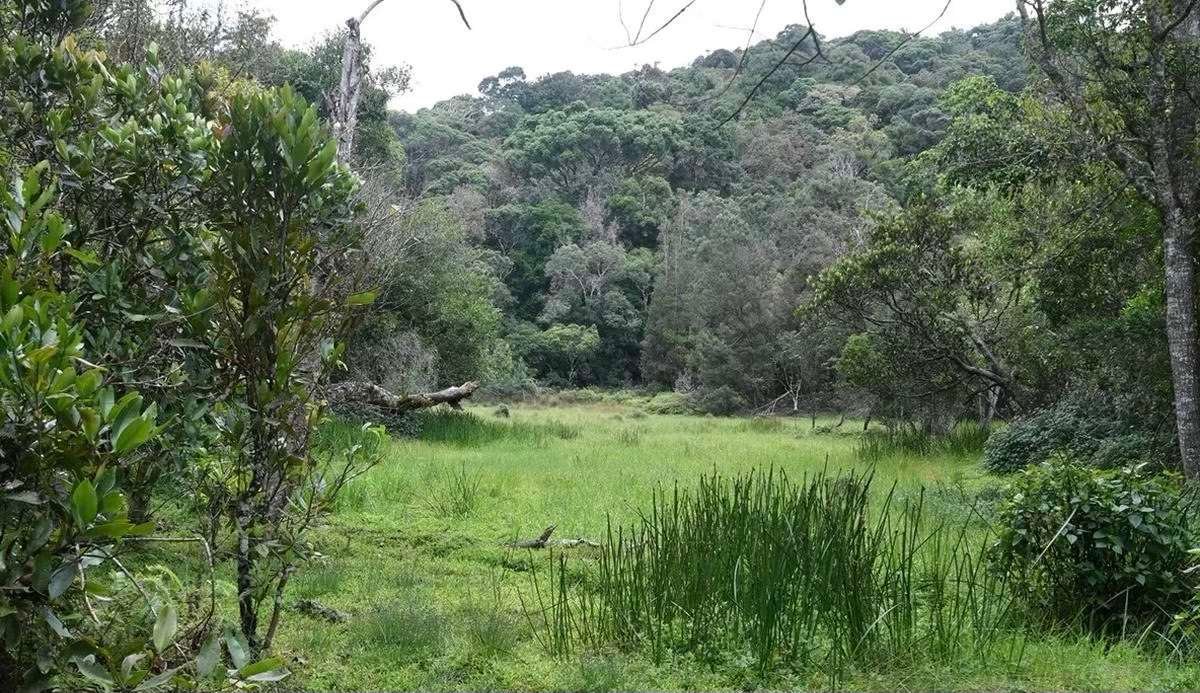 “Tamil Nadu Takes the Lead: Two New Ramsar Sites Bolster State’s Conservation Legacy”