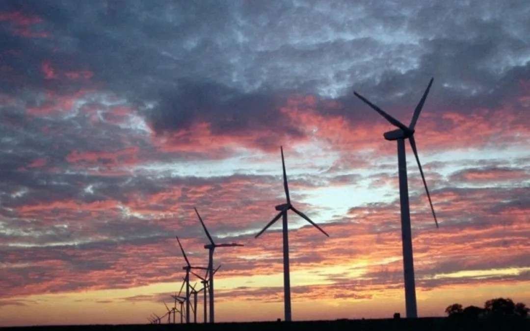 “Waaree Renewable Technologies Surges: Rs. 547.5 Crore Work Order Propels Sustainable Energy Leadership”