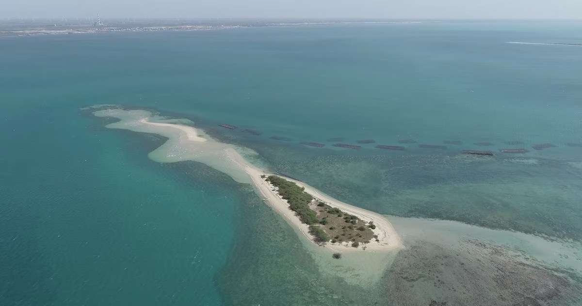 Tamil Nadu’s Conservation Efforts: Saving Endangered Islands in the Gulf of Mannar with Innovative Solutions
