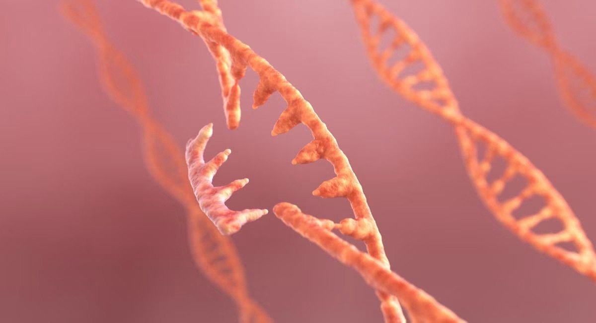 Unlocking the Potential of CRISPR: A Revolutionary Leap in Genetic Engineering