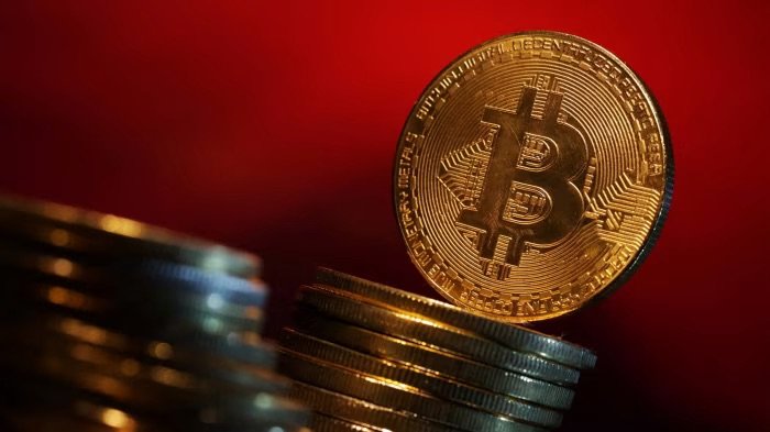 Bitcoin Surges Past $50,000 Mark, Driven by ETFs and Institutional Interest