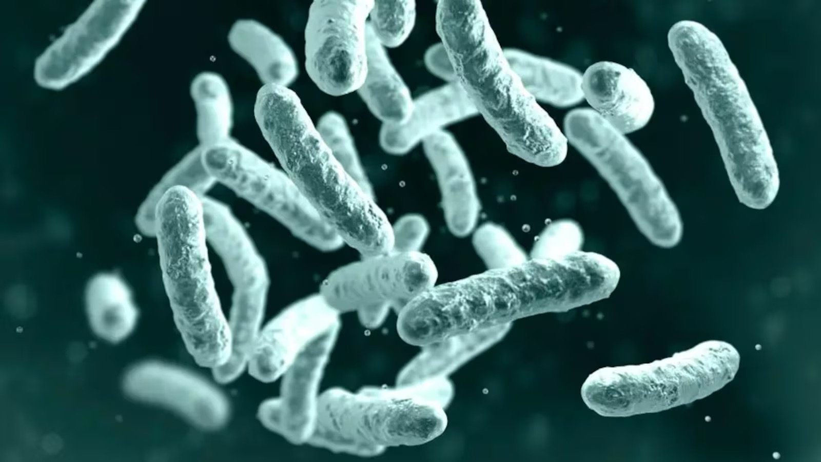 First Human Case of Plague in Over Eight Years Reported in Oregon