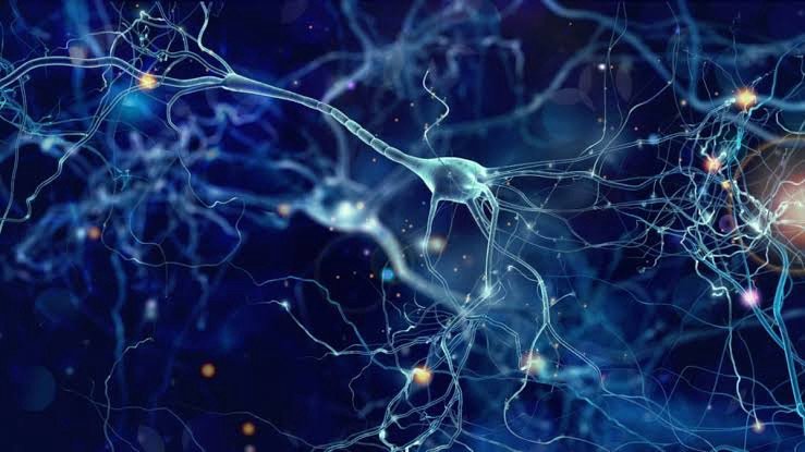 Advancing Neurodegenerative Disease Treatment: A Breakthrough in Cellular Protection
