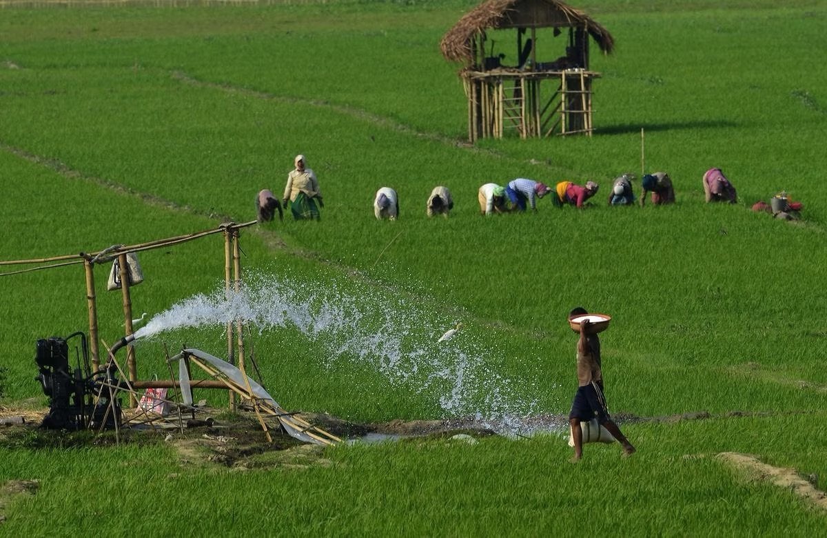 Unpacking India’s Labour Market Challenges: Insights from Recent Research