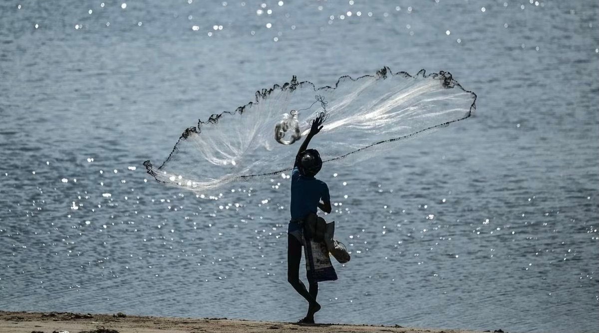 Tackling Overfishing: A Crucial Step Towards Sustainable Fisheries