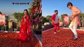 Tomato Turmoil: ‘Tomatina Haldi’ Sparks Debate Over Food Wastage and Cultural Sensitivity