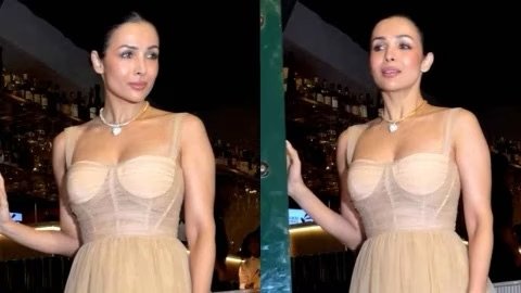 Malaika Arora’s Ethereal Princess Moment: A Closer Look at Her Stunning Gown