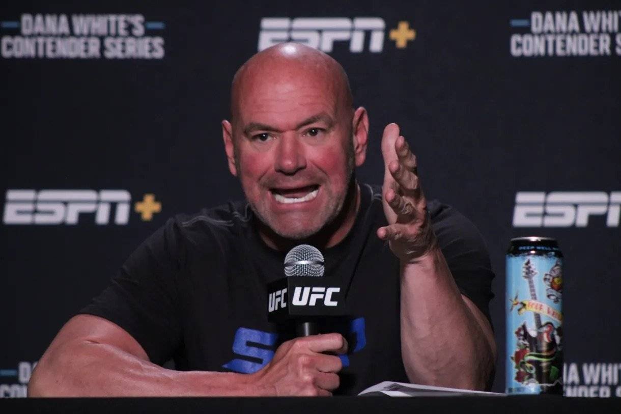 The Bald and the Brawny: Distinguishing Dana White from Joe Rogan in the UFC Universe