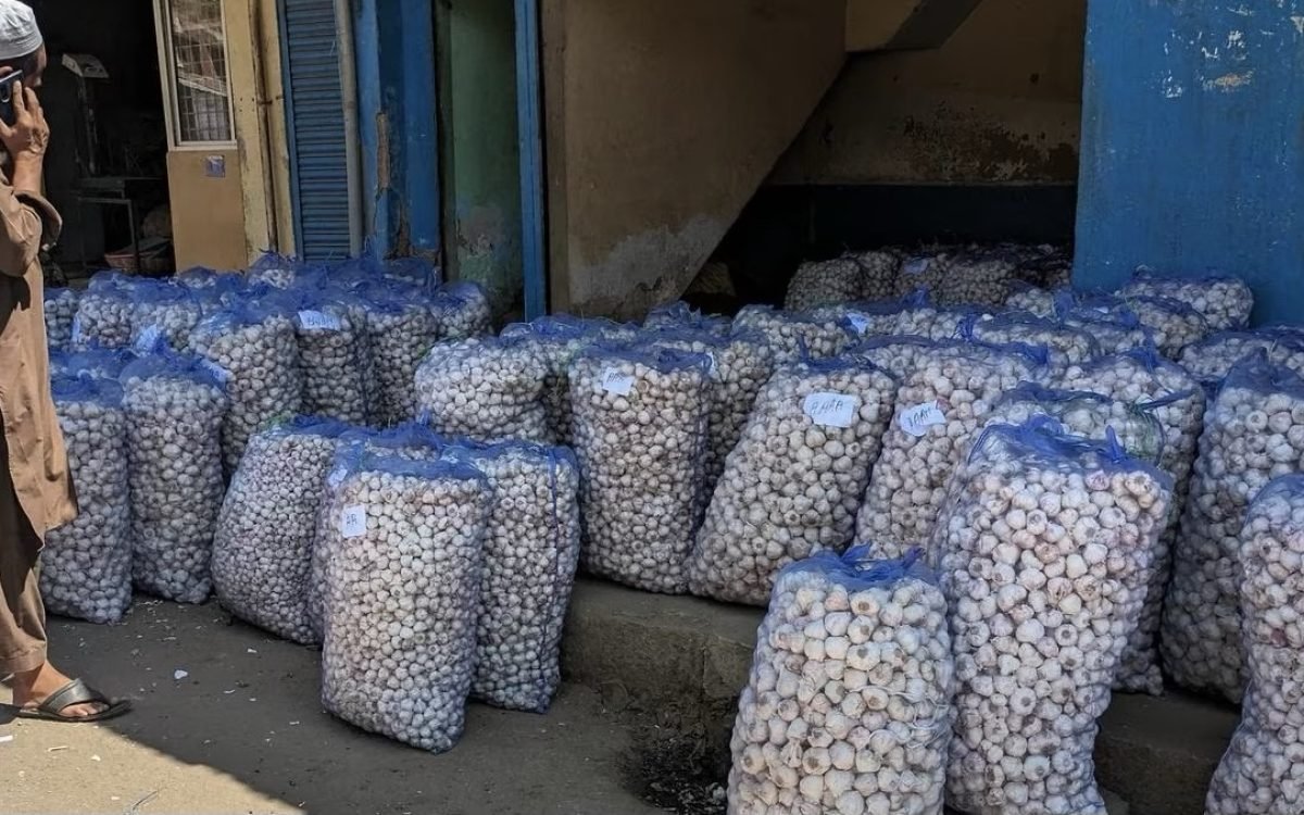 Garlic Prices Soar in Bengaluru Markets Due to Supply Shortage
