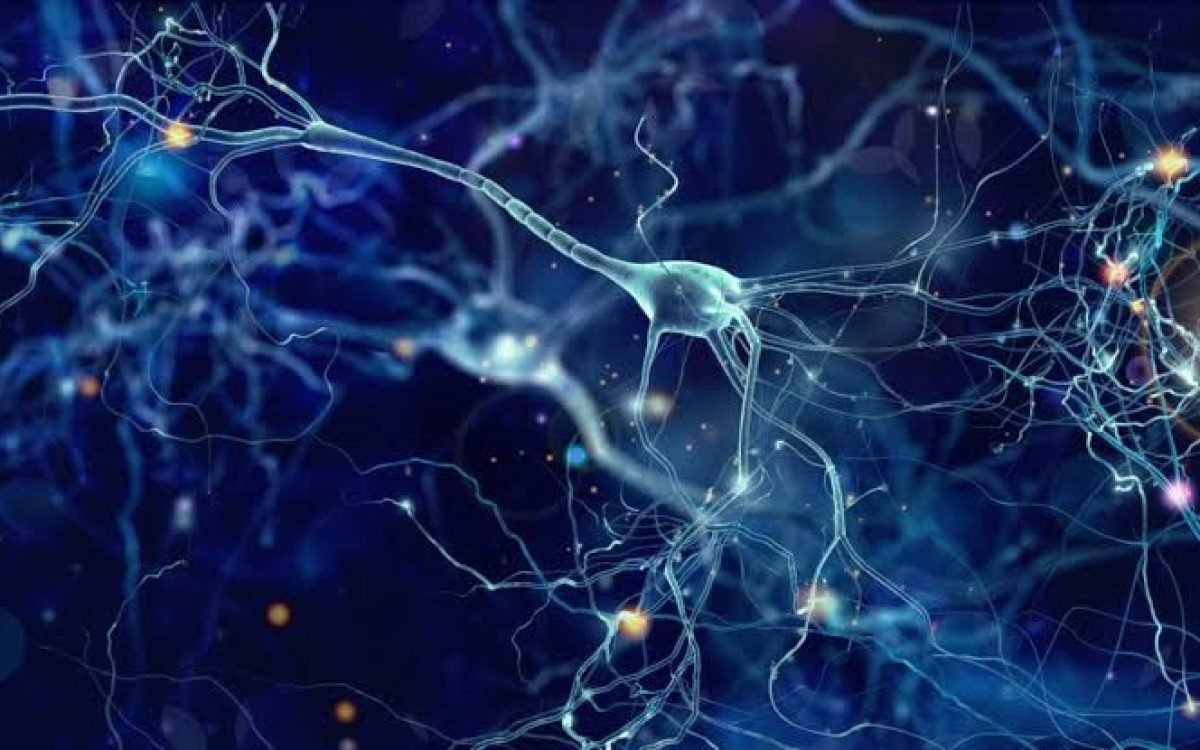 Advancing Neurodegenerative Disease Treatment: A Breakthrough in Cellular Protection
