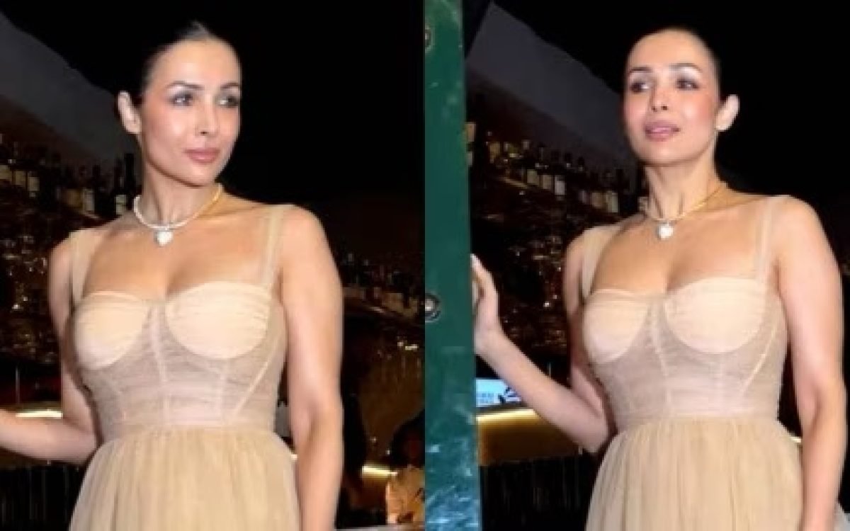 Malaika Arora’s Ethereal Princess Moment: A Closer Look at Her Stunning Gown