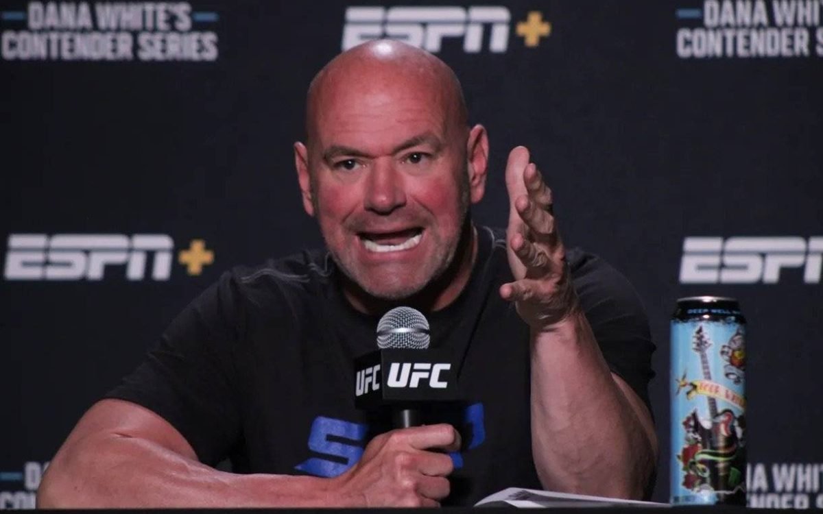 The Bald and the Brawny: Distinguishing Dana White from Joe Rogan in the UFC Universe